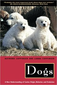 513eG+OX1CL._SX329_BO1,204,203,200_