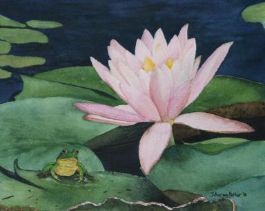 frog-and-water-lily-sharon-farber