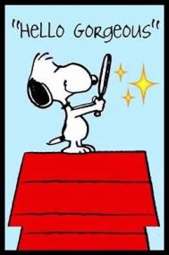 9e37742b776e75c983b6194396086d69--peanuts-quotes-snoopy-quotes