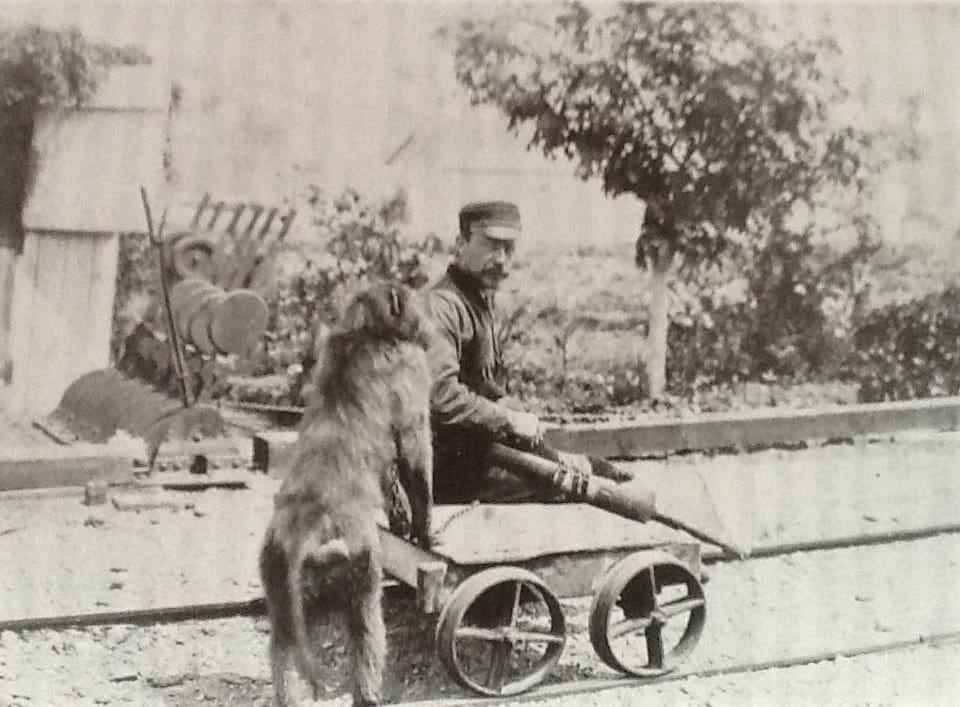 signalman-jack-3