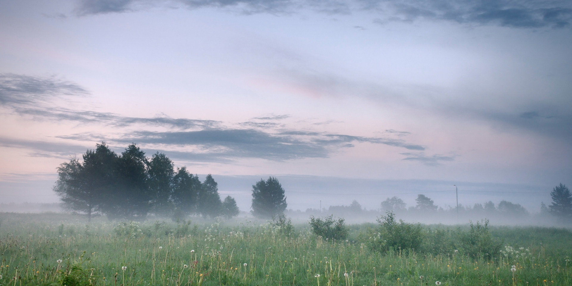 foggy-morning-in-a-meadow