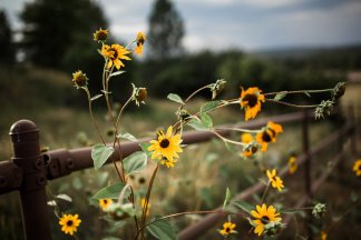 ofclnku1pbi65qd0ft3lgwpoc56rwcsrzkjyo0hnaasfvv6uhpcol6xx8tzkpuwz-