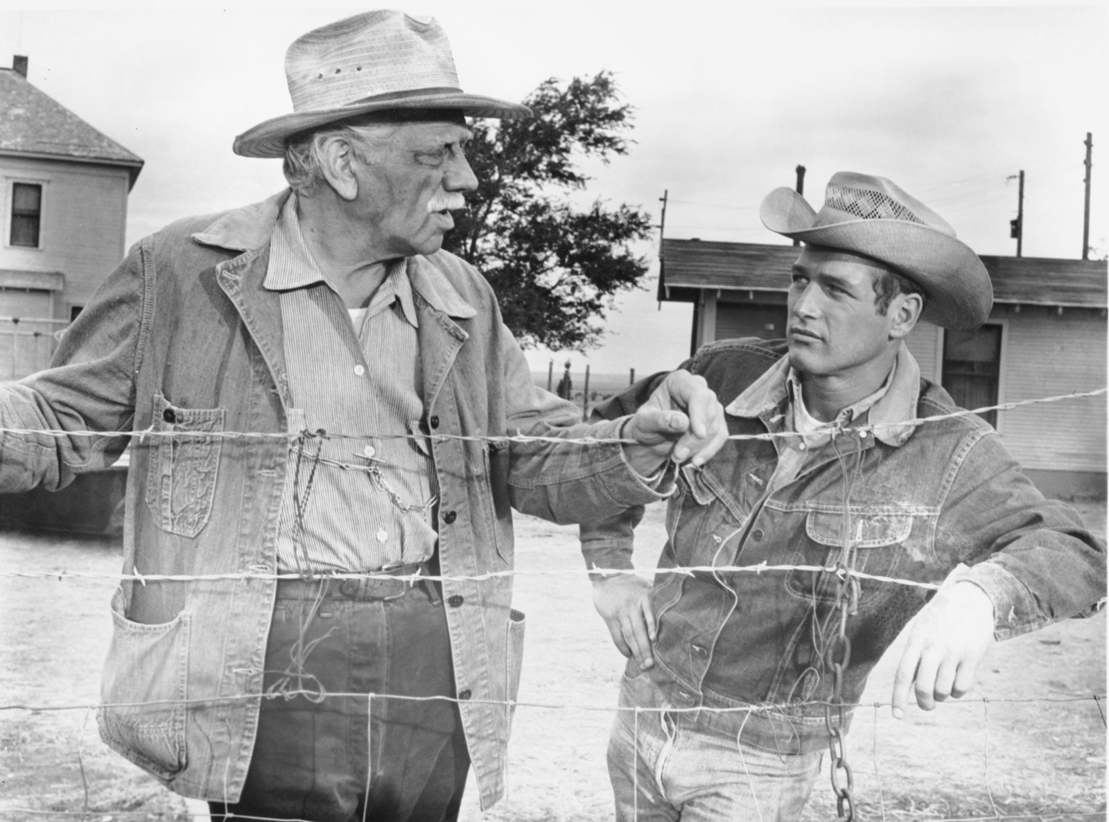 Paul-Newman-Melvyn-Douglas-Hud