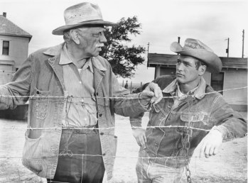 Paul-Newman-Melvyn-Douglas-Hud