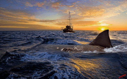 62e3d18b55aa1d84a75e4021e85035be